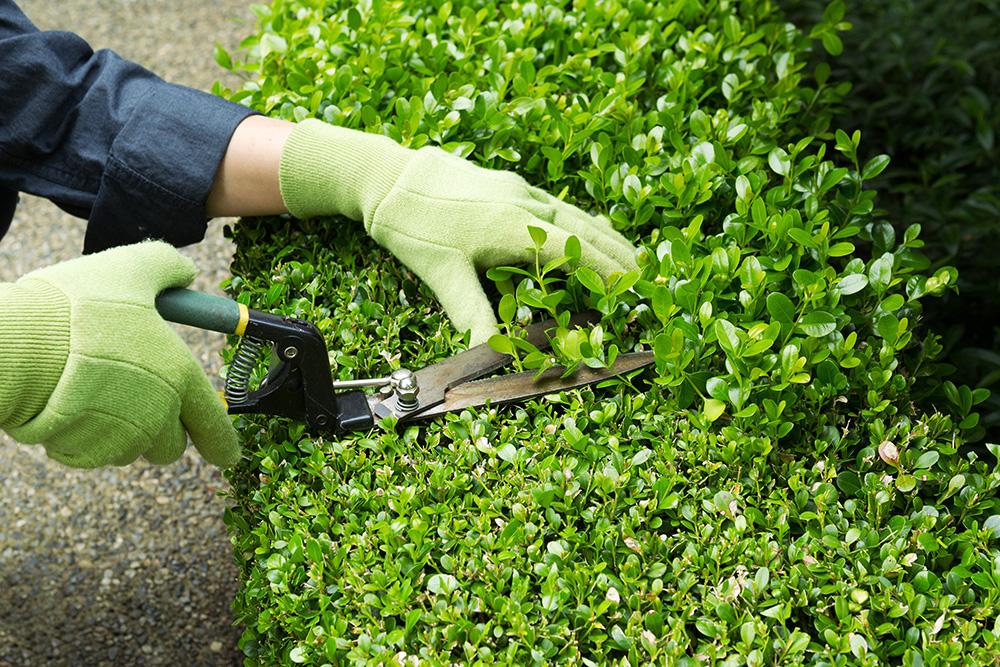 Aménagement extérieur d’un jardin et entretien du matériel nécessaire