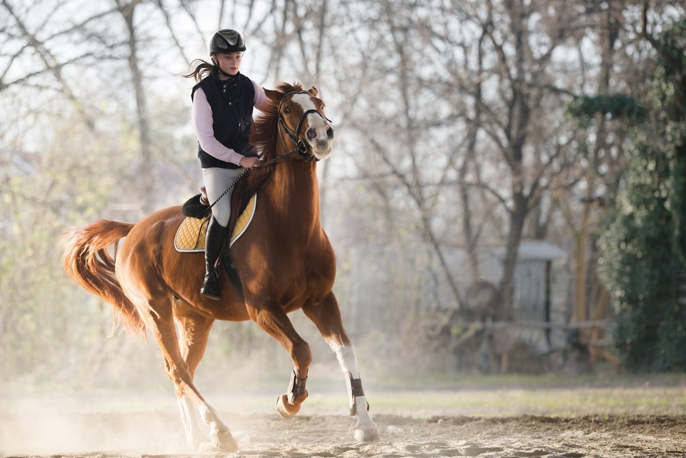 Comment choisir ses accessoires pour monter à cheval ?